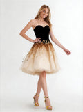 Black and Gold Fitted Tull Skirt，Formal Homecoming Dress